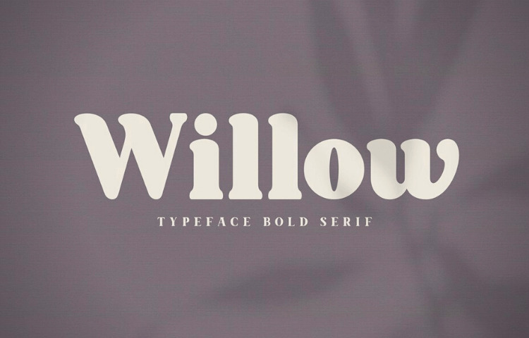 Willow, Typeface Bold Serif