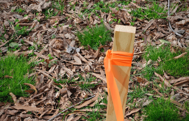 wooden stake into the ground